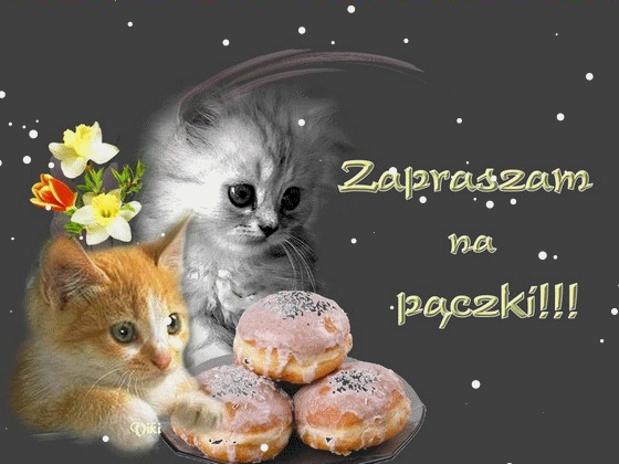 Dwa kotki i zaproszenie na pączki